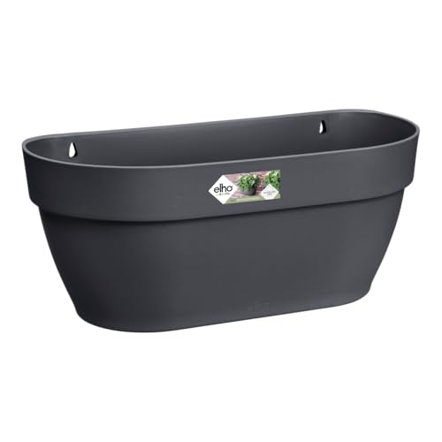 elho Vibia Campana Wall Basket 35 – Anthracite