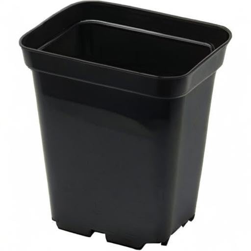 PLANT IT 10 cm 0.7 Litre Square Plastic Pot - Black