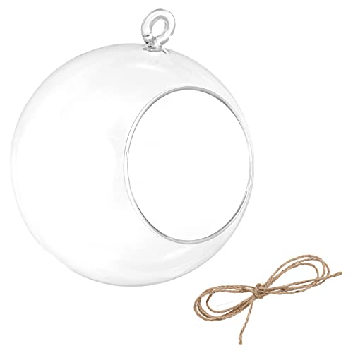 PATIKIL Round Globe Glass Air Plant Terrarium 5.4"
