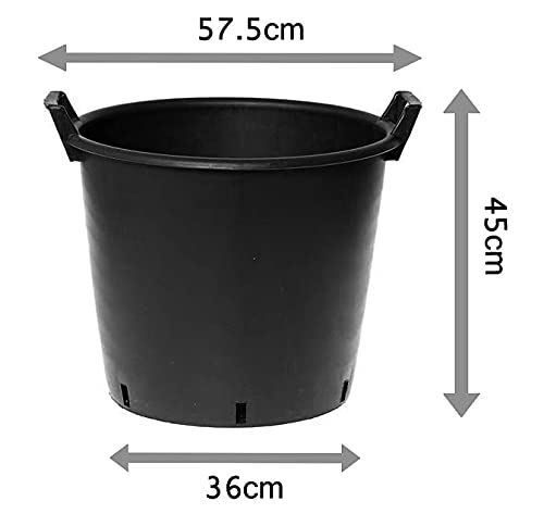 Muddy Hands Heavy Duty Large Plastic Plant Pot with Handles Outdoor Garden Vegetable Salad Flower Tree Planter Container (5, 50 Litre)