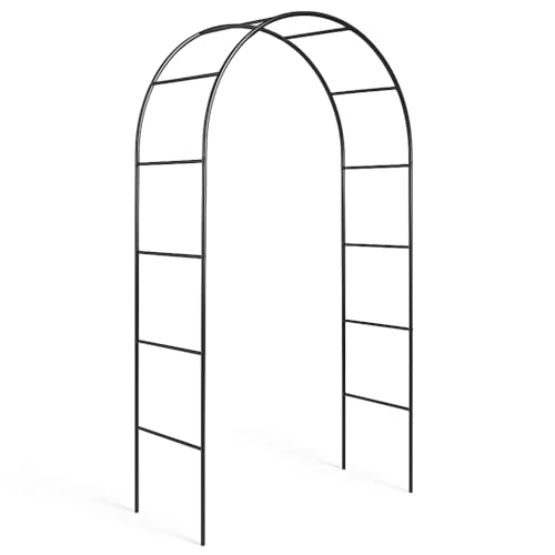 Metal Garden Arch for Climbing Plants & Roses