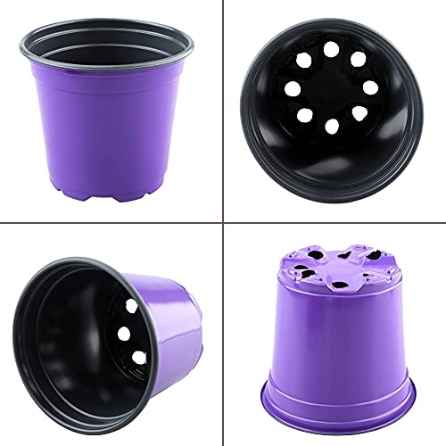 LATERN 50Pcs 15cm Plastic Plant Flower Pots, Purple Lightweight Seed Starting Pots Nursery Seedlings Pots Flower Plant Container (15 x 13cm)