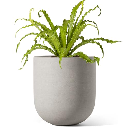 LE TAUCI 15cm Ceramic Plant Pot with Drainage, Gray