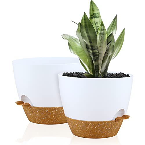 FORAGIFT 25cm Self-Watering Plant Pots, 2 Pack