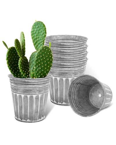 Vensovo Galvanised Metal Plant Pots – Set of 6