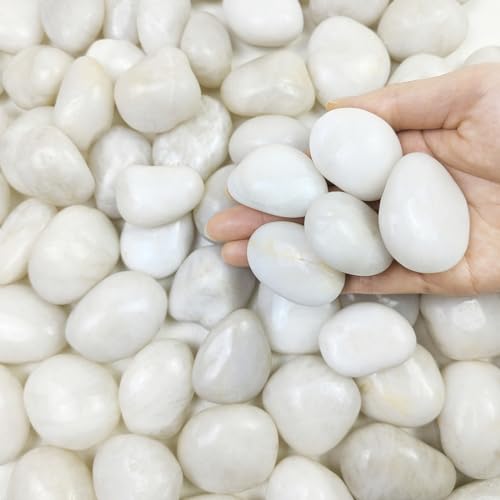 FANTIAN White Pebbles for Plants & Garden 4lbs