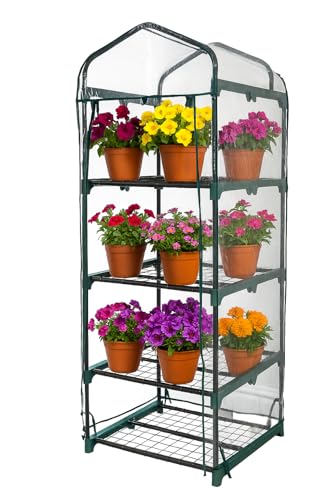 DIVCHI 4 Tier Indoor & Outdoor Mini Greenhouse
