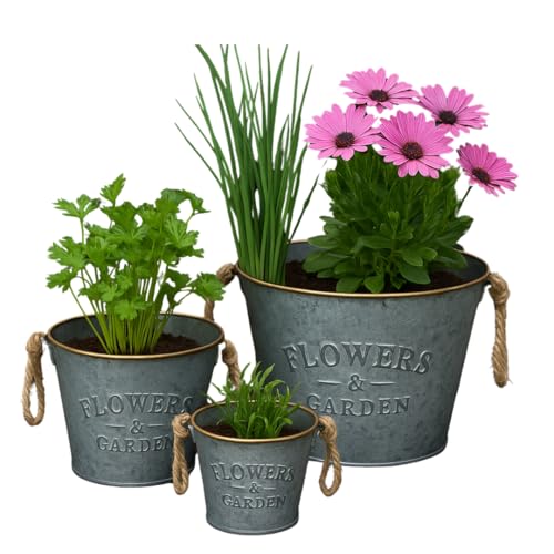 Trendi Galvanized Metal Planters Set of 3 with Rope Handles