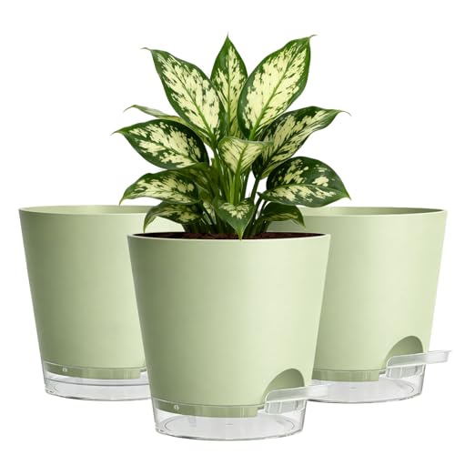 Self Watering Plant Pots 15cm – Sage Green 3 Pack