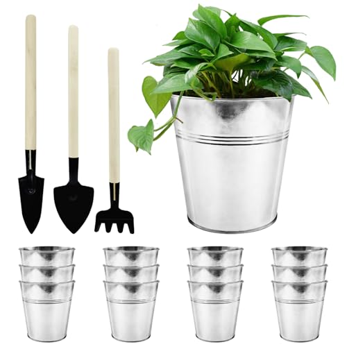 WAIZHIUA 12-Pack Galvanised Metal Herb Pots 12cm