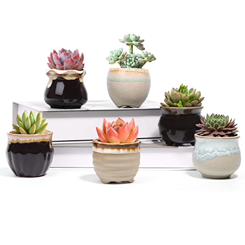 T4U Small Ceramic Succulent Pots with Drainage Set of 6