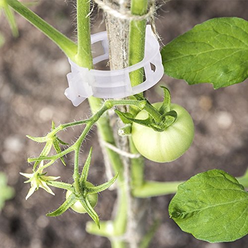 Kinglake Plant Support Clips – Pack of 100