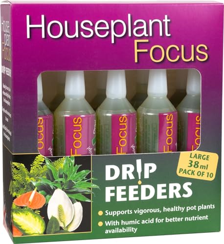 Houseplant Focus Drip Feeders 38ml – Box of 10