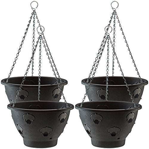 Thompson & Morgan Bloomaround Hanging Basket 30cm 4 Pack