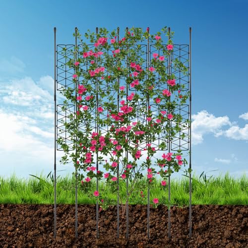 NiHome 6-Pack 50 Inches Garden Trellis for Climbing Plants Outdoor, Plant Support Trellis Cage for Clematis, Roses, Jasmine and Vines Such as Tomatoes, Grapes, Cucumbers and Blackberries