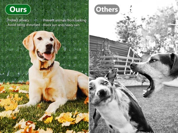 Blueeour Garden Screening,1 * 3M Artificial Ivy Fence Screening, Artificial Hedge Screening,Balcony Privacy Screen, Fence Trellis with Leaves, Fence Ivy for Balcony Garden Decoration(1Pcs)