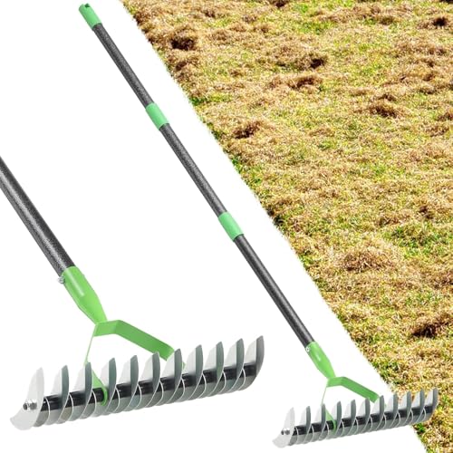 Ollidot Thatch Rake 134cm – 21 Teeth Lawn Dethatcher