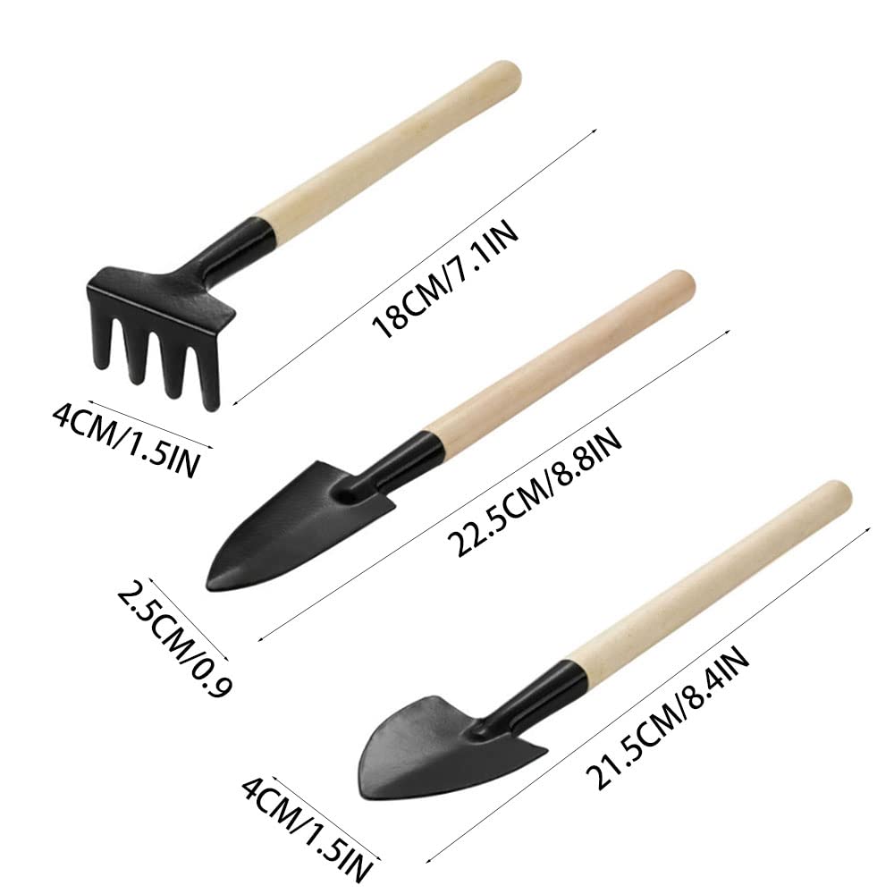 ANZONGYI 3 Pieces Flower Gardening Kit Miniature Gardening Rake Trowel and Shovel Succulent Plants Tools for Indoor Miniature Fairy Garden