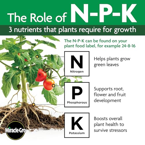 Miracle-Gro 1002522 Indoor Plant Food Spike, 1.1 Ounce