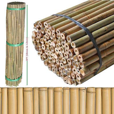 FlickBuyz Gardens Strong Thick Heavy Duty Professional Bamboo Plant Support Garden Canes (30, 4FT, 8-10MM)