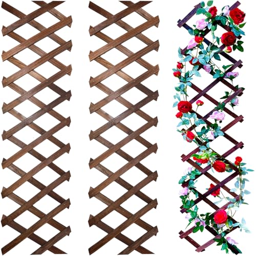 Expandable Wooden Wall Trellis 180cm – Pack of 2