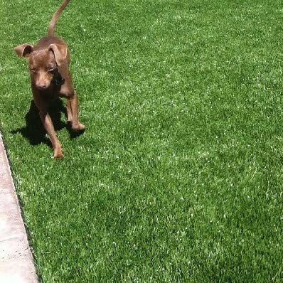 40mm Artificial Grass Realistic and Natural Looking Fake Lawn Astro Turf 1m, 1.5m, 2m, 3m, 4m & 5m Widths | 1m x 4m