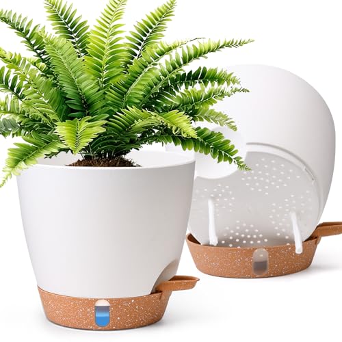 T4U 20cm Self Watering Plant Pots Indoor 2 Pack