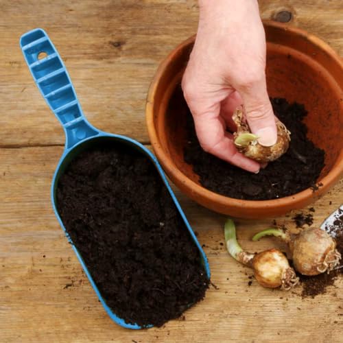 Bosmere K121 Handy Scoop, Blue (Pack of 2)