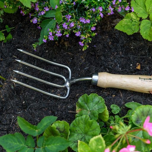 Burgon & Ball GTH/SRFRHS RHS Stainless Steel Round Tined Fork