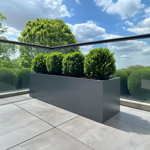 Tulipy Zinc Galvanised Trough Planter – Matte Grey