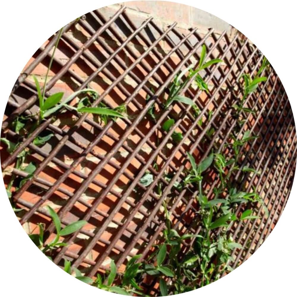 Willow Garden Trellis - Expandable Plant Support for Climbing and Long-Stemmed Plants (90x180cm)