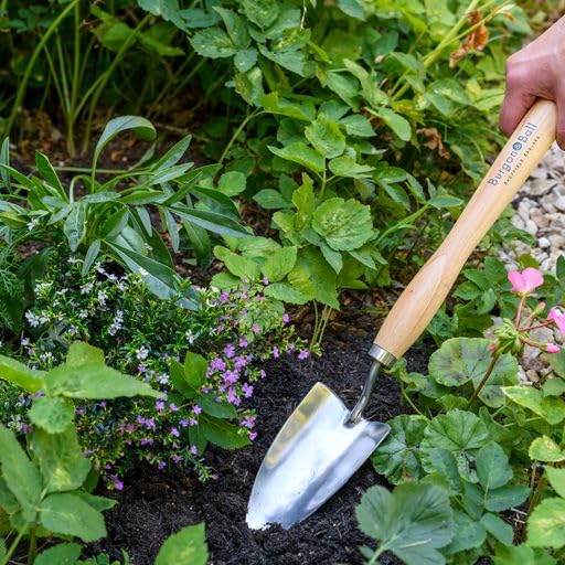 Burgon & Ball RHS Stainless Mid Handled Trowel, 48 cm Length