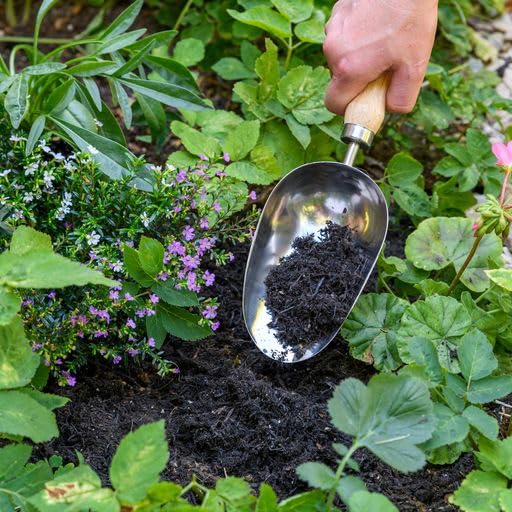 Burgon & Ball RHS Stainless Steel Compost Scoop, 31 cm Length