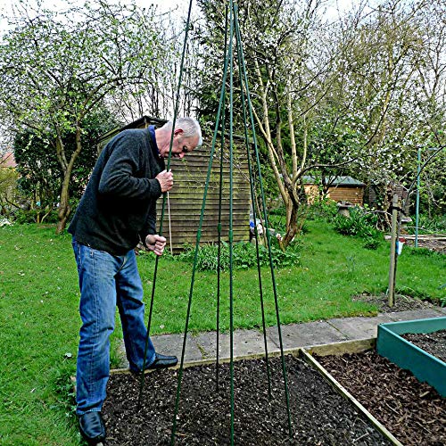GardenSkill Pea and Runner Bean Wigwam Teepee - Garden Support Frame Kit for Vegetables, Legumes, Flowers and Climbing Plants