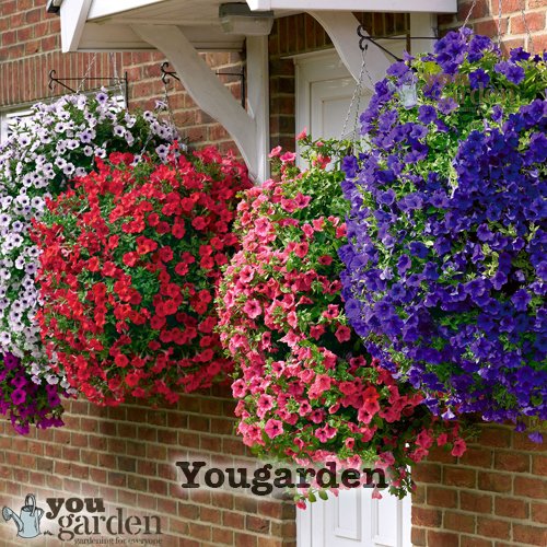 Set of 4 x 15" Easy fill Hanging Baskets