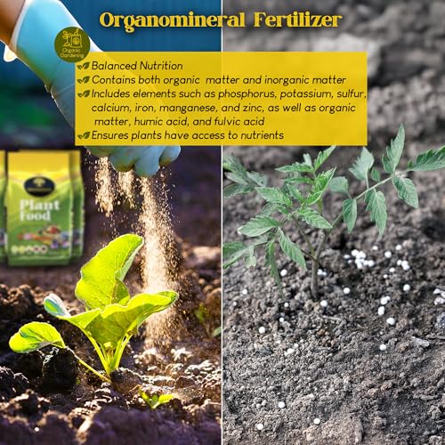 Renaissance Organic Plant Food - All Purpose Fertilizer for Outdoor & Indoor Gardening - Fertiliser Booster for Houseplants, Vegetables, Fruit Trees, Industrial Crops, Legumes | 5.44 kg Bag