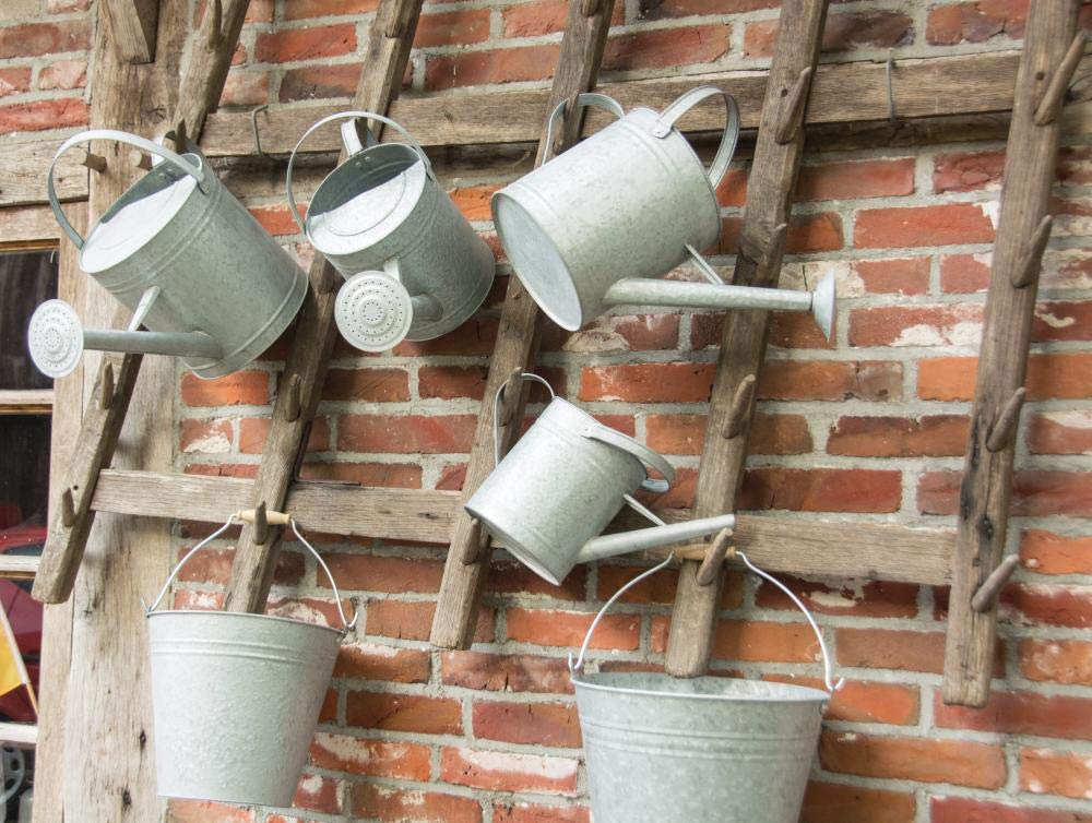 Fallen Fruits 3.5 Litre Old Zinc Watering Can, M