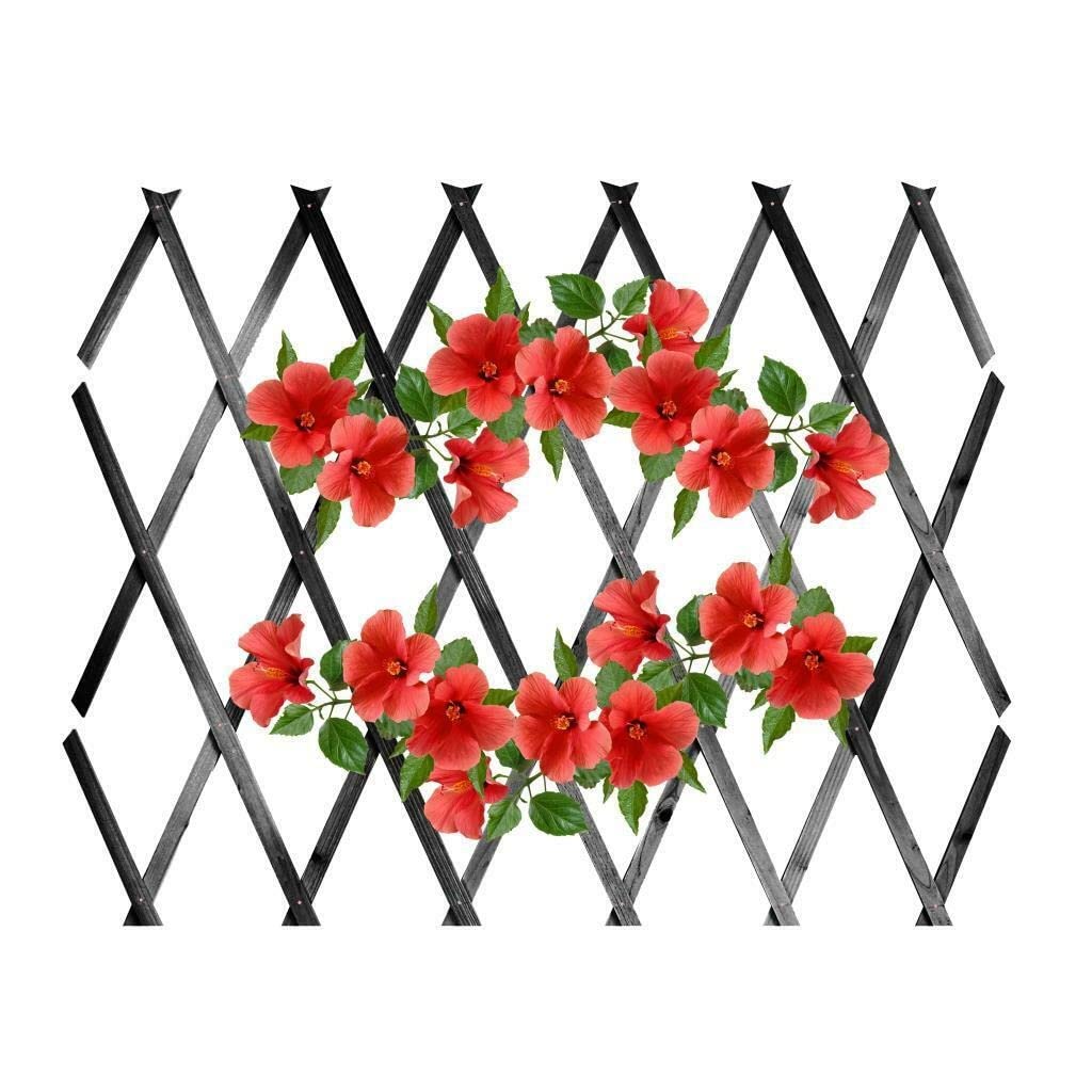 Expanding 6ft Wooden Trellis Climbing Plants Fence Panel Screening Lattice UK (Dark Grey 180 x 90cm)