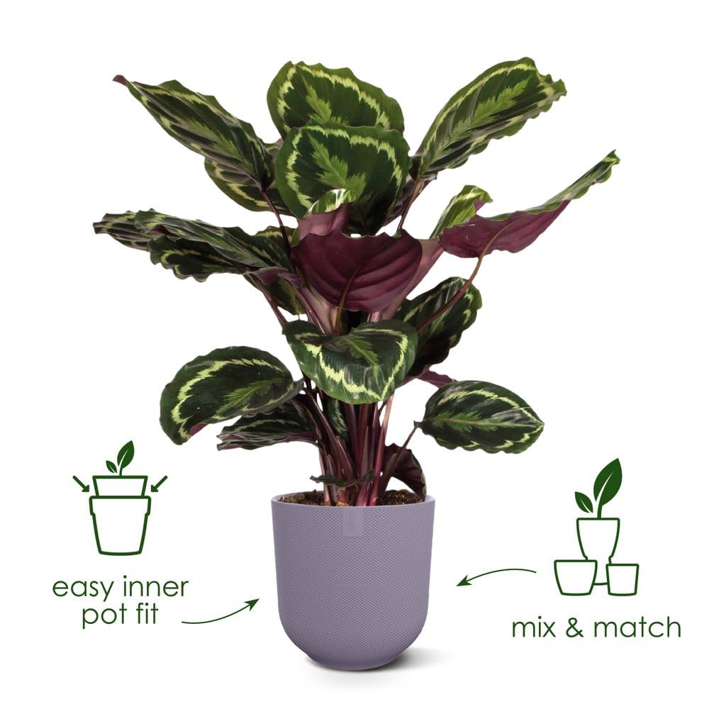 elho Jazz Round 16cm Flower Pot - Indoor Plant Pot - 100% Recycled Plastic - Unique Structure - White/Silky White