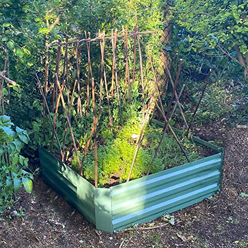 Selections Metal Raised Vegetable Bed in Green (100cm x 100cm x 30cm)