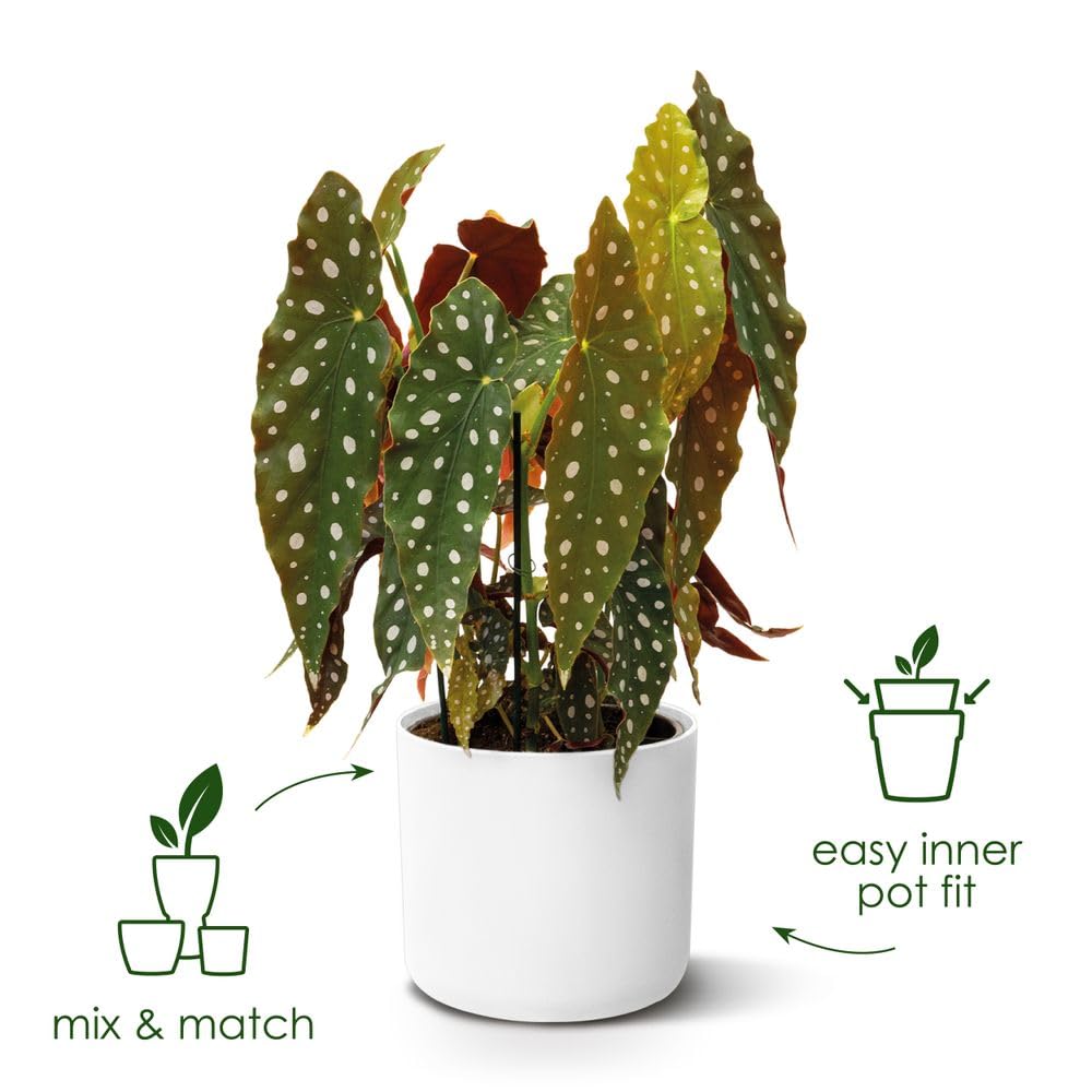 elho B.for Soft Round 30 - Indoor Plant Pot - 100% Recycled Plastic - Ø 29.5 x H 27.6 cm - White/White