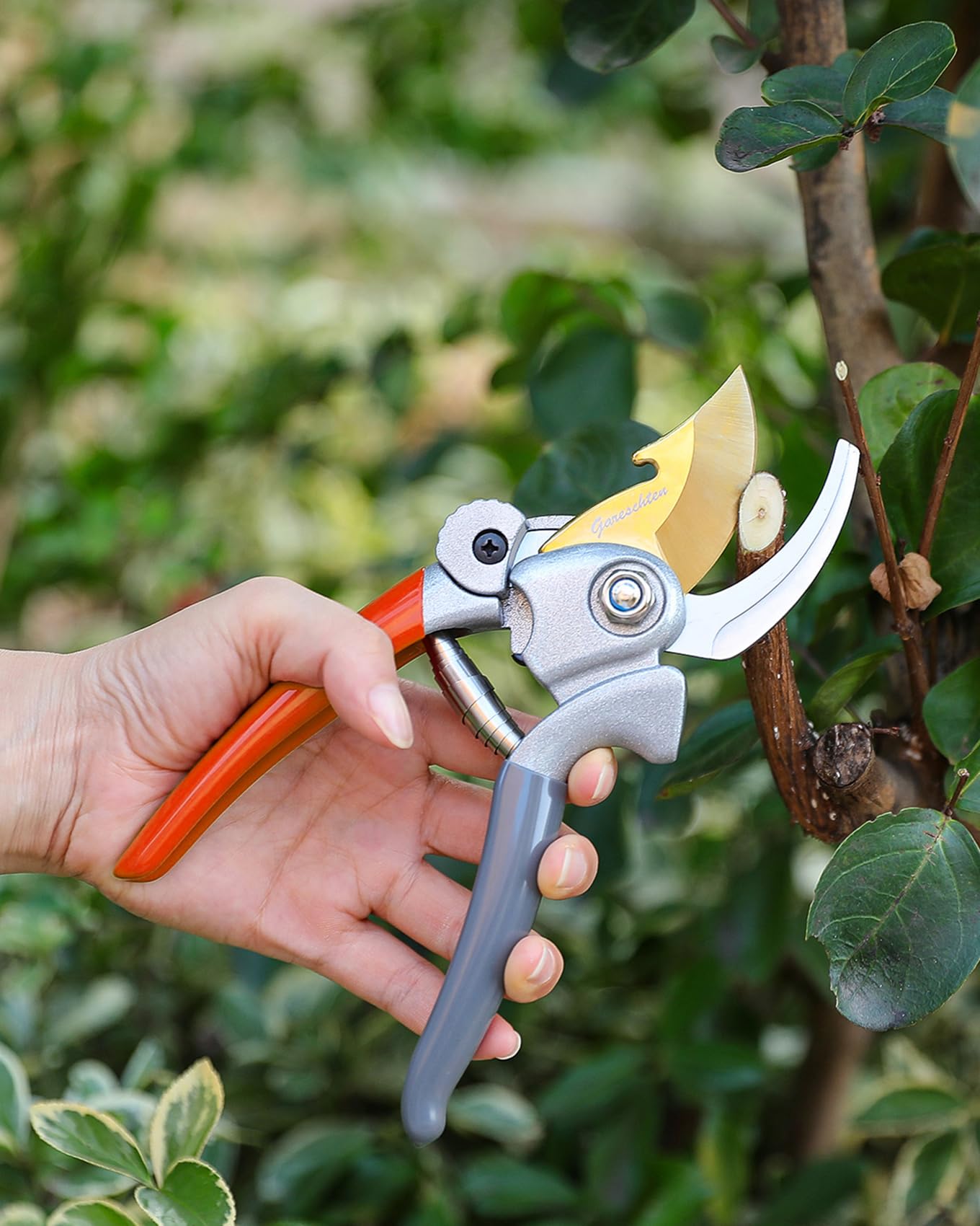 Gareschten 8.3" Garden Secateurs Heavy Duty, Bypass Pruners with Distinctive Safety Lock, Premium Titanium Coated SK5 Blade, Non-Slip Handles, Clean Cut Pruning Shears, Garden Tool