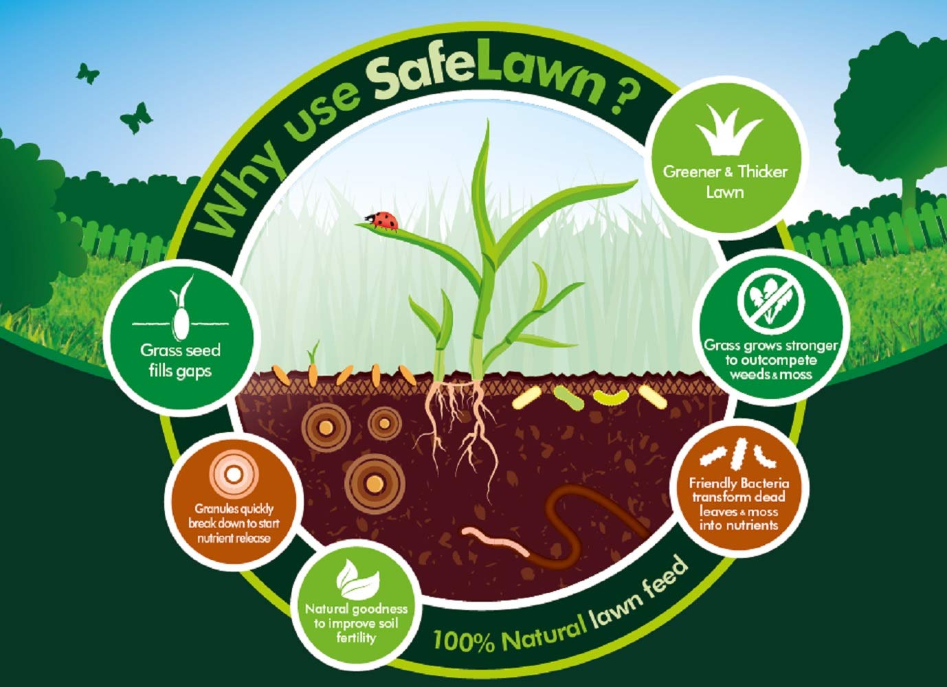 Westland SafeLawn Child and Pet Friendly Natural Lawn Feed 400 m2, Green, 14 kg