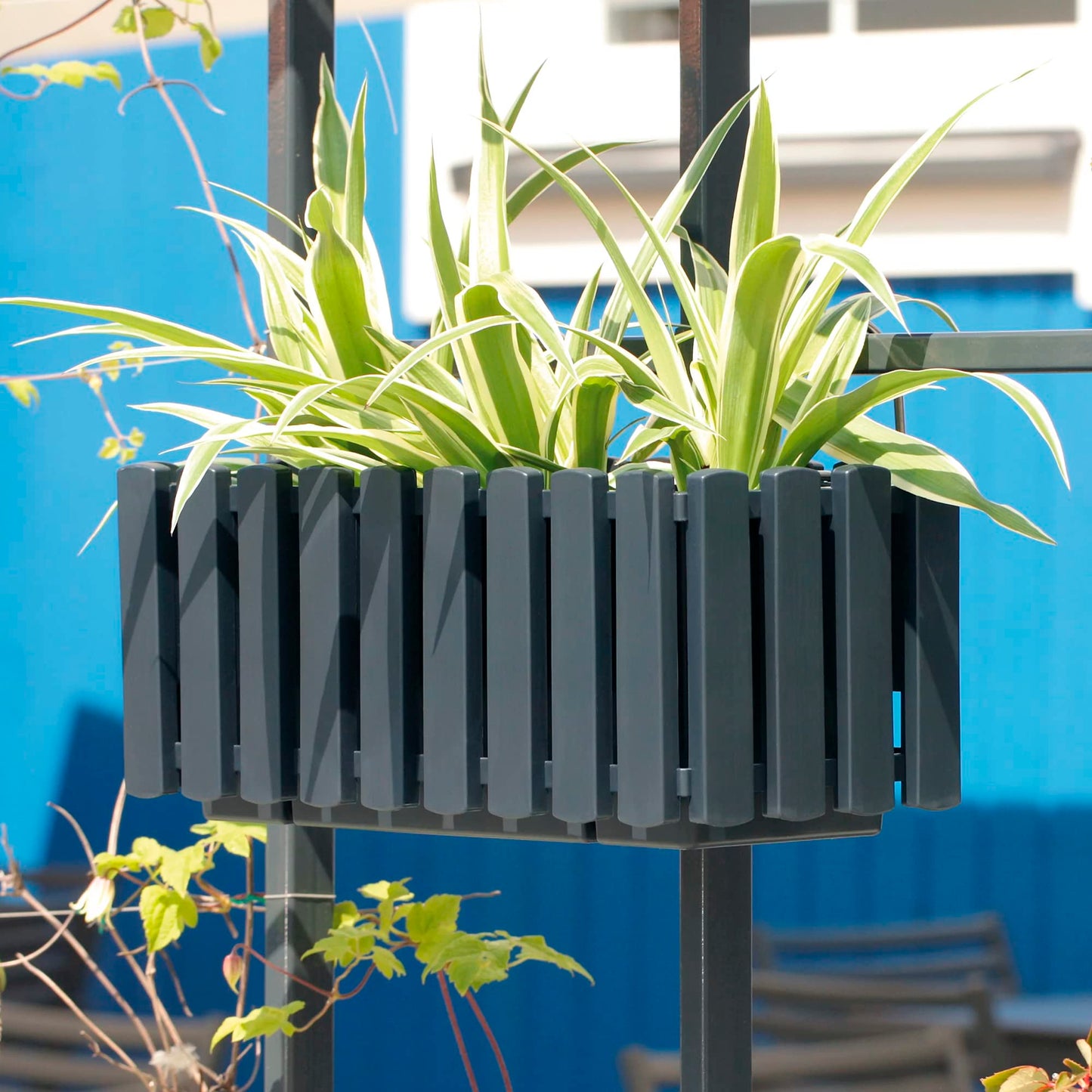 Prosperplast Boardee Fencycase Balcony Box with Hanging and Watering System, Flower Box, Flower Pot with Hook Planter (580 mm Length, Anthracite)