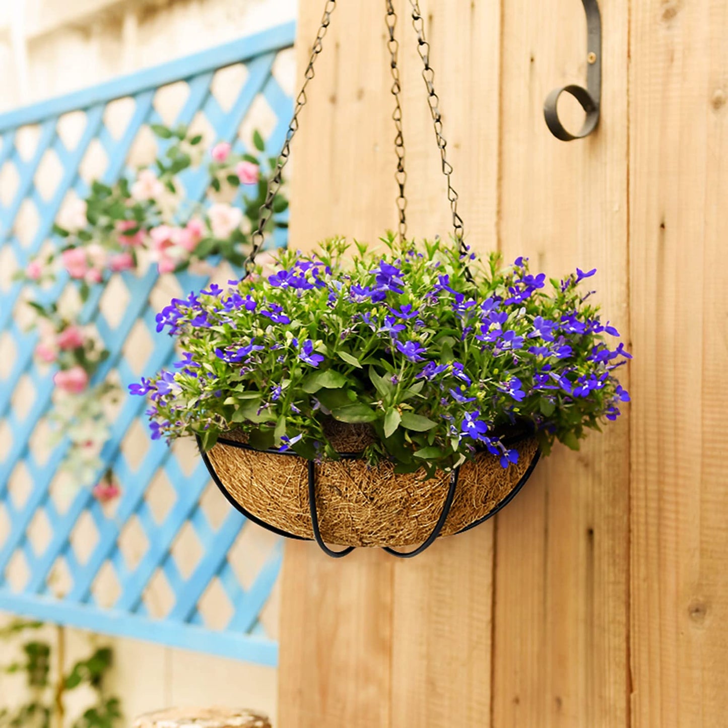 IHONYI Hanging Basket Coconut Palm Flower Basket Moss Hanging Basket Round Plant Holder Porch Decor Hanging Flower Pots Home Garden Decoration Watering Hanging Baskets (2pcs, 12inch/30cm)