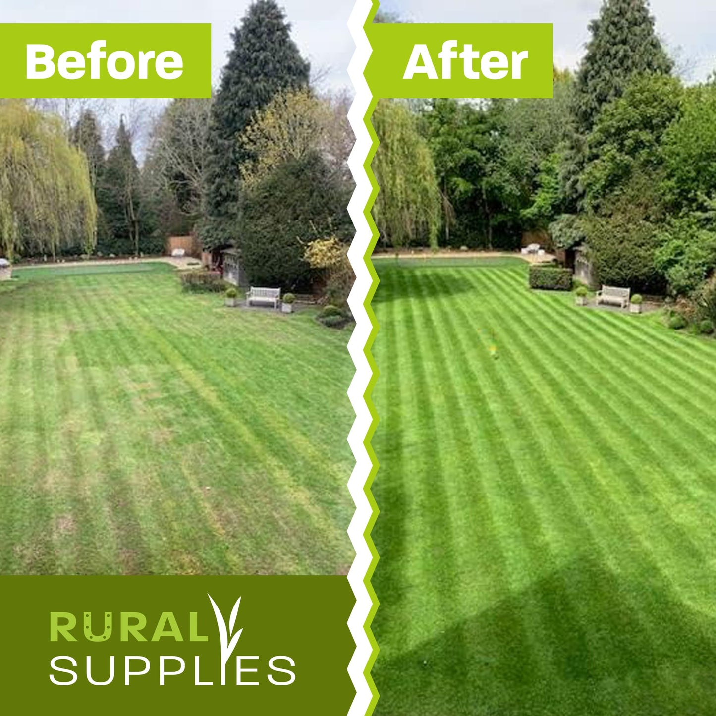 Rural Supplies Premium Grass Seed Mix 2kg - Covers up to 100m2, Hardy, Fast-Growing, Pet Safe, Perfect for UK Climate - Thick, Hard-Wearing, Easy-to-Grow, Low Maintenance Lawn