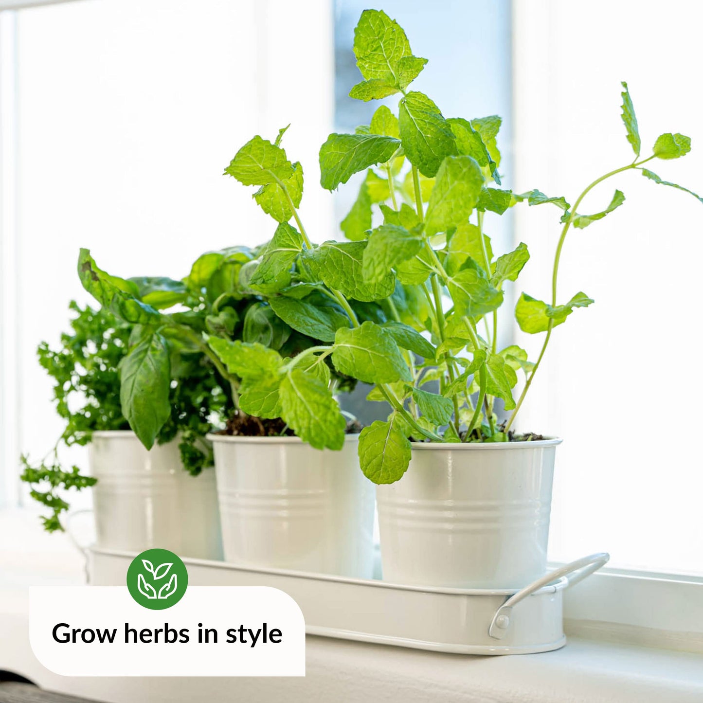 Herb Planter Indoor | Grow Fresh Herbs At Home | Herb Pots for Kitchen & Windowsill | Kitchen Herb Garden | Indoor Herb Planter | Includes Drain Hole | Garden Pots for Basil, Mint, Parsley and More