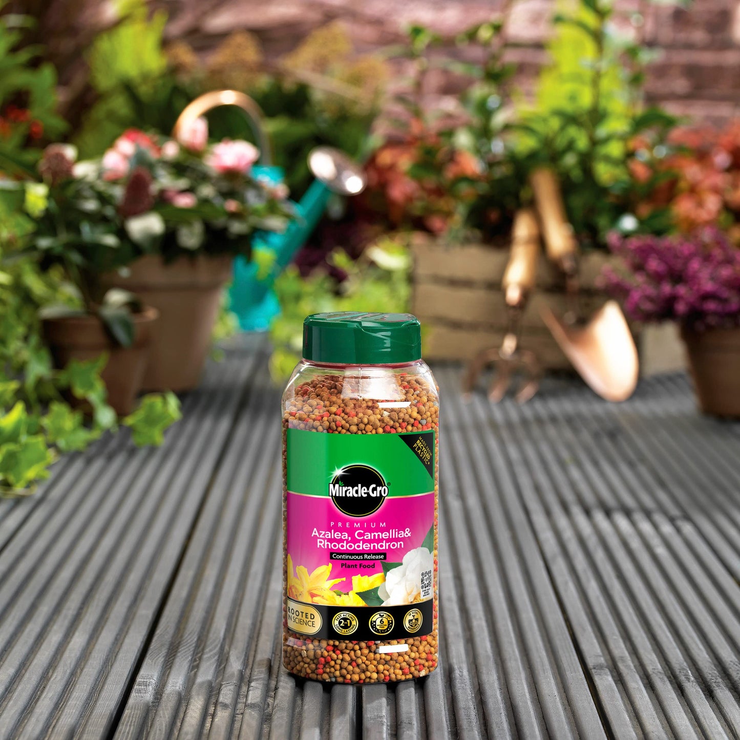 Miracle Gro Premium Azalea, Camellia and Rhododendron Continuous Release Plant Food