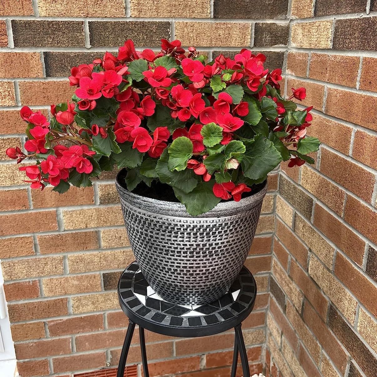 Fyne-Finds Set of 2 Large Plastic Round Silver Cromarty Plant Pot Flower Pot Planter Garden Decoration Antique 30cm, 12inch Outside Planters 10L Outdoor With Drainage Holes