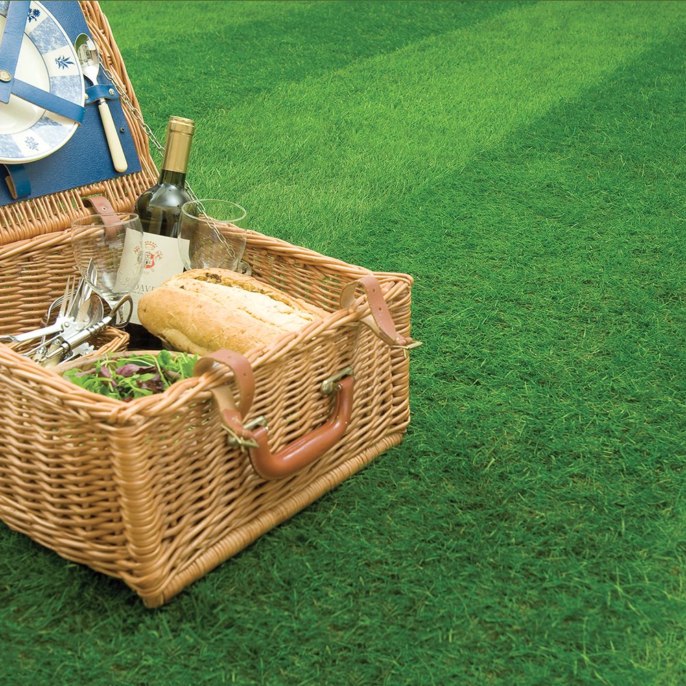 Harrowden Turf Premium Lawn Turf - 40 Rolls (40m²)